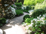 Romantischer Gartenweg mit Rhododendronbüschen